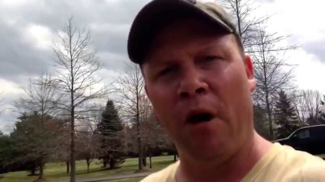 Black knot fungus. A cherry trees worst nightmare!! Tree fertilizing and visual inspection are key