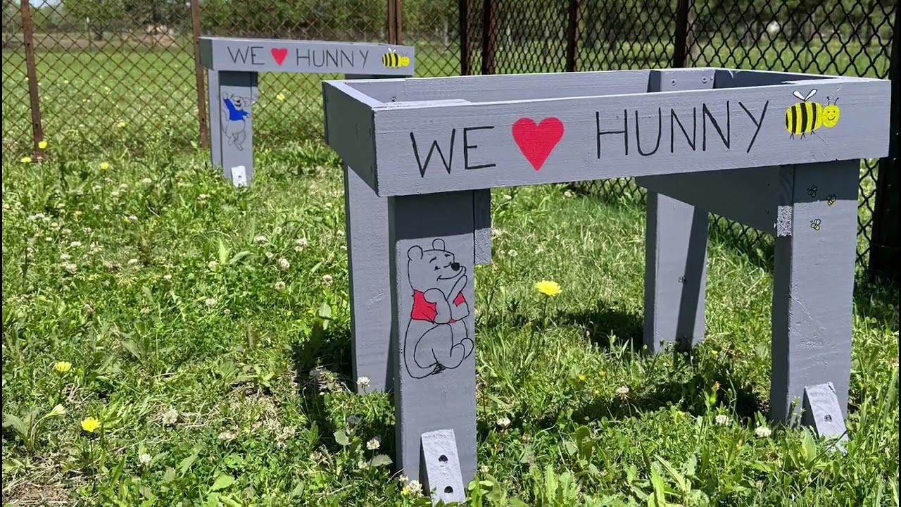 Accidental Beekeeper