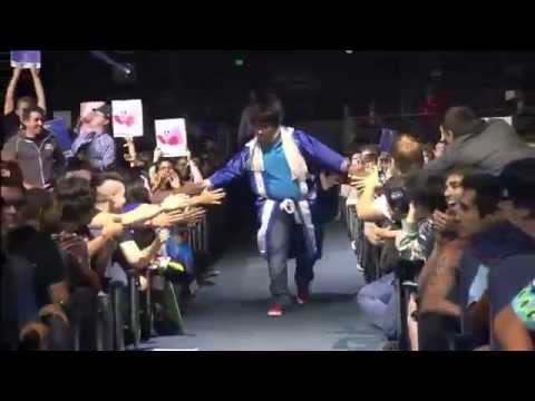 Super Smash Bros: Wii U E3 2014 Tournament