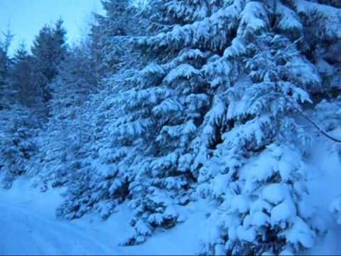 CAR Barlogu Somesul Rece