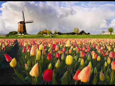 Evren Ulusoy - Tulips (Original Mix)