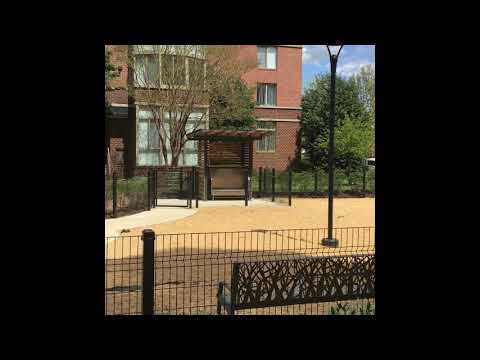 Take a Tour of Our Dog Park
