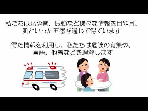 人間情報学科　心理情報専修　心理学実験課題