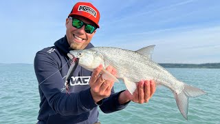 Wobler Rapala Skitter Pop Elite 95_GDTIL