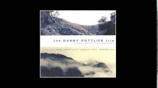 Danny Gottlieb Trio - Skylark