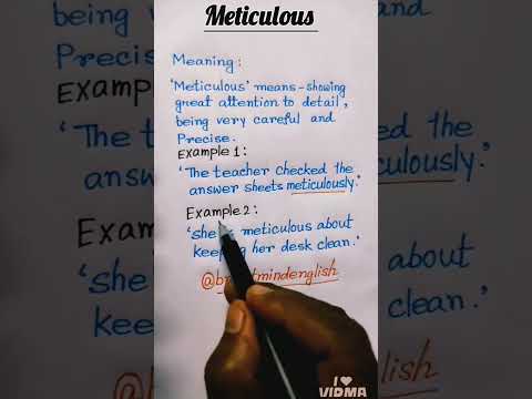 Meticulous Meaning with Examples | Vocabulary Series | #vocabulary #english #education #grammar