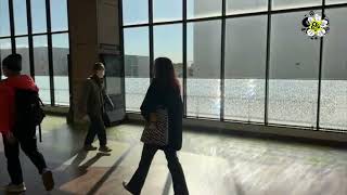 Ramos por el mundo: Japón - CINERDS