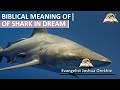 Dreams About Shark - Attacking Symbolism and Biblical Meaning