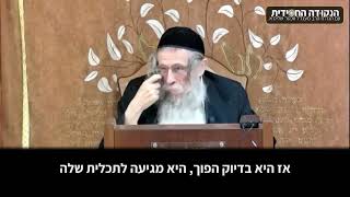 הגה״ח הרב ווכטר שליט״א | הנפש האלוקית והנפש הבהמית - מה באמת הן רוצות מהאדם? (הרב אברהם מנחם מענדל וכטר) - התמונה מוצגת ישירות מתוך אתר האינטרנט יוטיוב. זכויות היוצרים בתמונה שייכות ליוצרה. קישור קרדיט למקור התוכן נמצא בתוך דף הסרטון