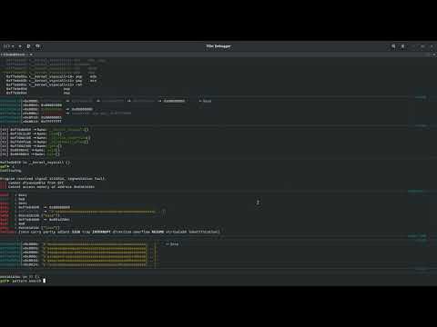PICO CTF 2018 - Buffer overflow 1