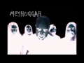 Meshuggah - Concatenation (Remix) (Slowed 15.17%, Dropped 1.33 Semitones)