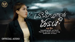 នឹកអ្នកចាស់មែនទេ-ពេជ្រ វិច្ឆិកា-OFFICIAL MUSIC AUDIO