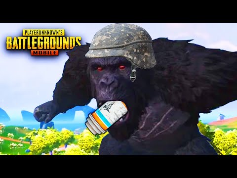 RIP KONG MONKE MODE | PUBG MOBILE