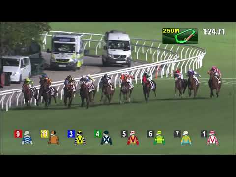 6/7/2022 (804) Big Two - L Hewitson