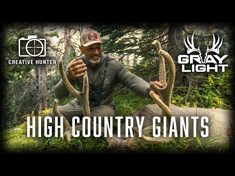 Hunting High Country Archery Mule Deer | Graylight Hunter