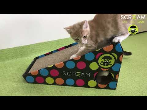 Scream INCLINE CAT SCRATCHER Loud Multicolour 48x20x25cm