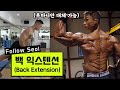 등 운동 #6 - 백 익스텐션 (루마니안 데드리프트 대체 가능)