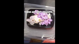 Removing dried flowers