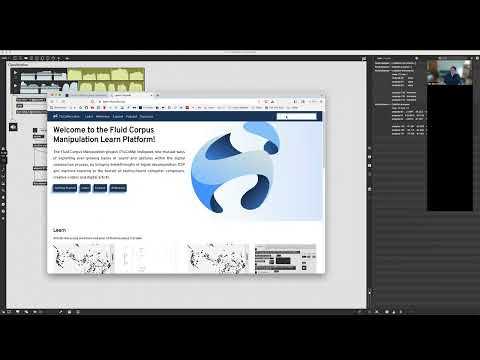 The Power of FluCoMa a Max/MSP Package