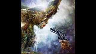 Space Druid - Anathema