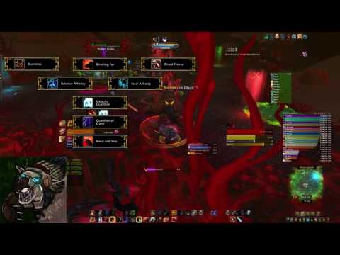 The Inconspicuous Bear - Heroic Cenarius Guardian Guide