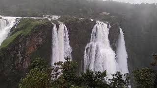 preview picture of video '#Jogfalls_Top_views_points_heavy_rainfall#Rain_water_discharge_from#Sharavati_River'