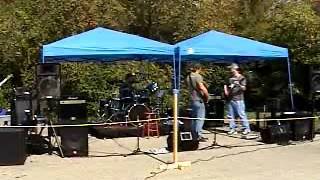 Wolf Pack   Comfortably Numb