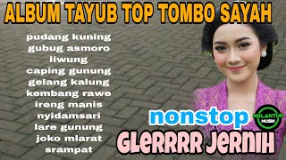 Download lagu full album tayub top tombo sayah nonstop glerrr jernih mp3