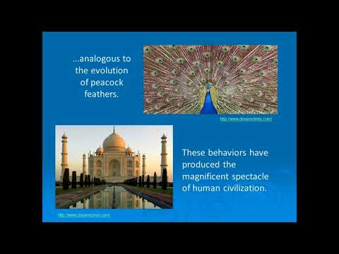 Purpose Driven Life - A psychiatrist's evolutionary perspective on human motivation