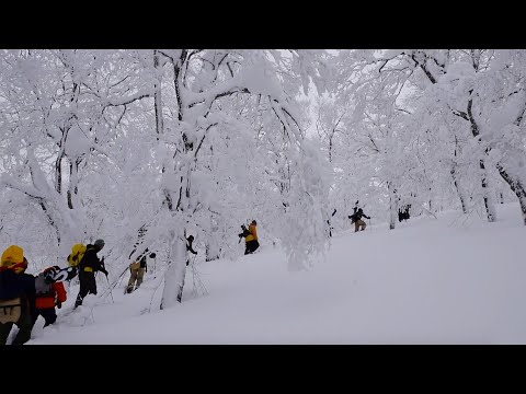 Tazawako Ski Resort, Akita, Japan