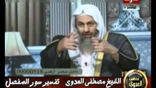 منوعات 56تفسير سور المفصل قناة درة سورة الفجر 18 10 2011