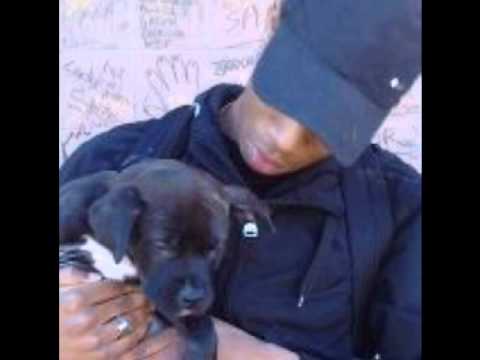 BDC ft SLG Freestyle