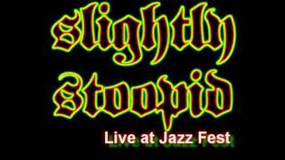 Slightly Stoopid  Live at Jazz Fest