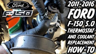Ford F-150 5.0 Coyote Thermostat & Coolant Exchange How-To