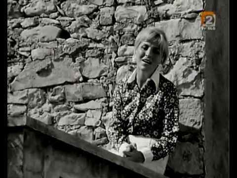 Marjana Deržaj - Poletna noč