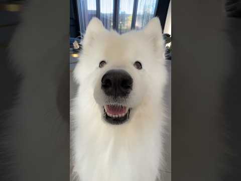 My most beautiful side! 😍