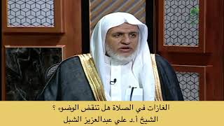 صورة أ.د. علي الشبل | الغازات في الصلاة هل تنقض الوضوء؟