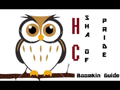 Sha of Pride - 10 Man Heroic - Boomkin Guide