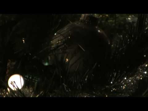Canon HF11 1080i 30p Christmas Tree test