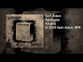 Seth Adam - Apologize