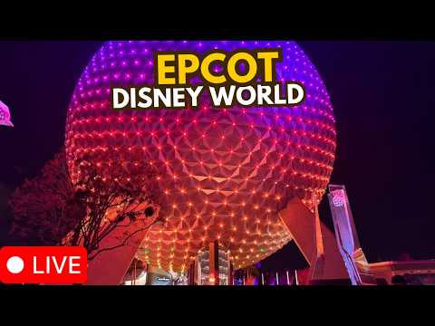 Live webcam of Disney Parks with Love