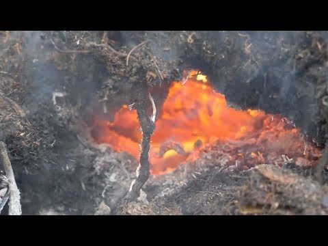 Sibérie: Des pompiers forestiers combattent les incendies