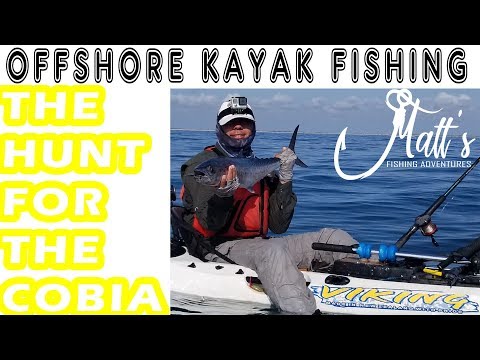 Offshore Kayak Fishing: The Hunt Begins for Big Cobia and Trophy King Mackerel