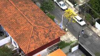 Diário de Imagens 03.09.2011