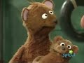 Sesame Street Baby Bear S Cousin Oliver Meets Barkley Sprout Broadcast