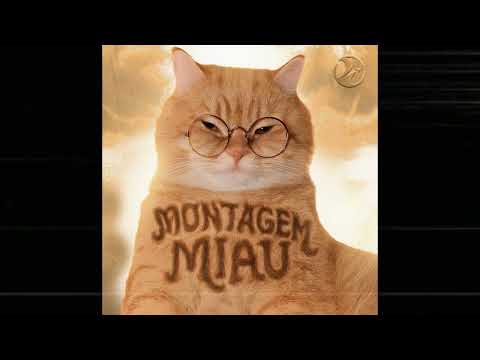 Ay mi gatito miau miau tiktok | MONTAGEM MIAU