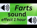 Farts Sound Effect 1 Hour
