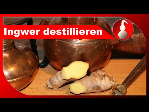 Ingwer destillieren - ätherisches Öl selber machen - destillieren als Hobby - diSTILLed