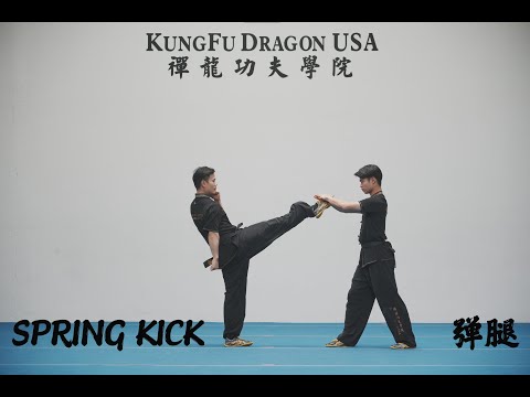 Kung Fu Dragon USA Online Tutorial: Spring Kick/Tan Tui /弹腿