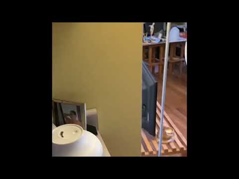 Weird arrangements for my babe